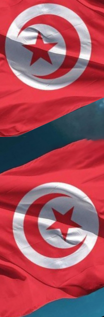 Monnaie de la république tunisienne